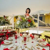 Quinceañera en jardines